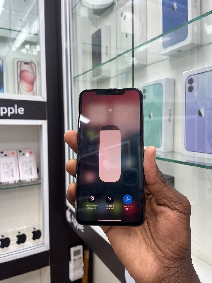 iPhone XS Max 64Go