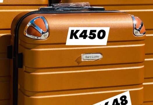 TRAVELING BAGS
