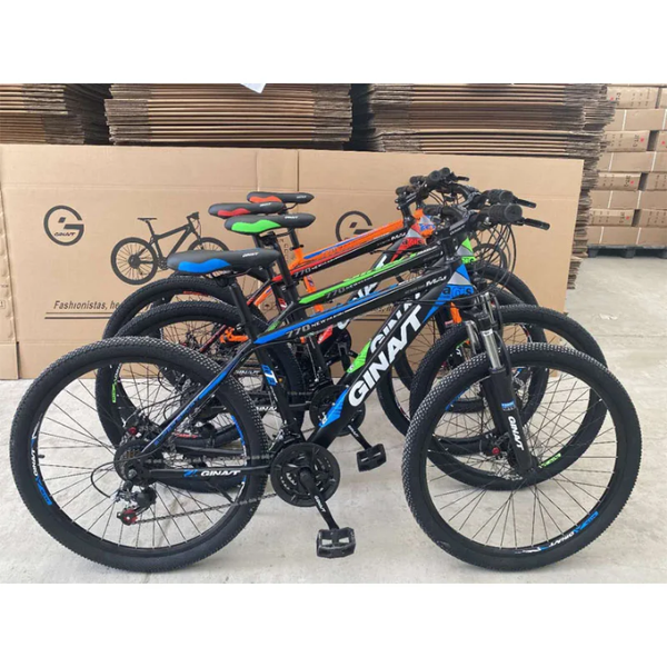 Vélos de montagne robustes
