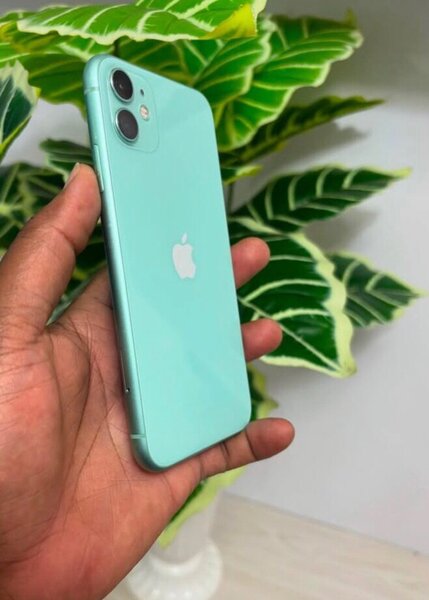 iPhone 11
