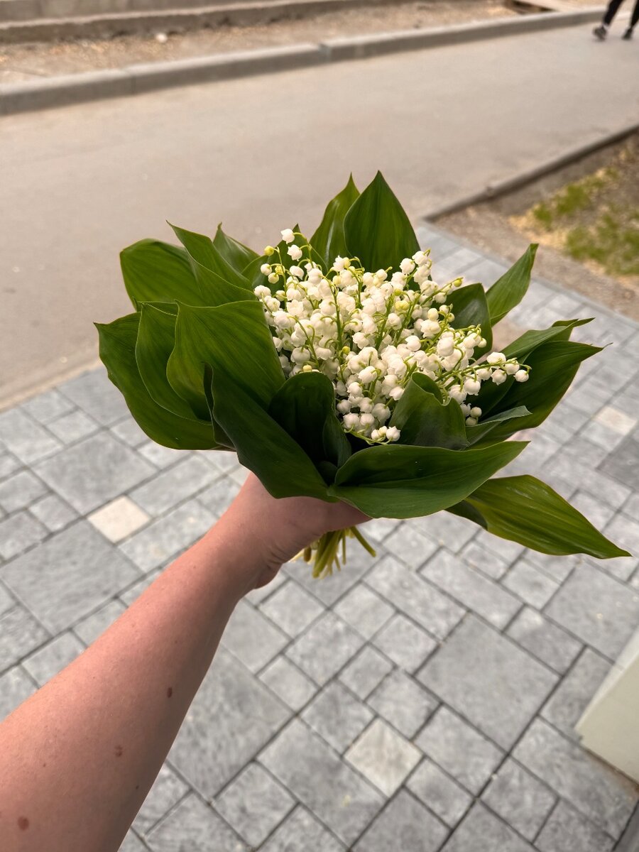Ландыш