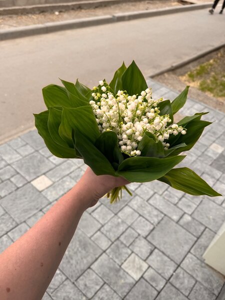 Ландыш