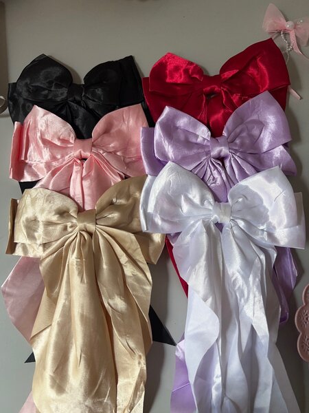 Nœuds Papillon en Satin Colorés