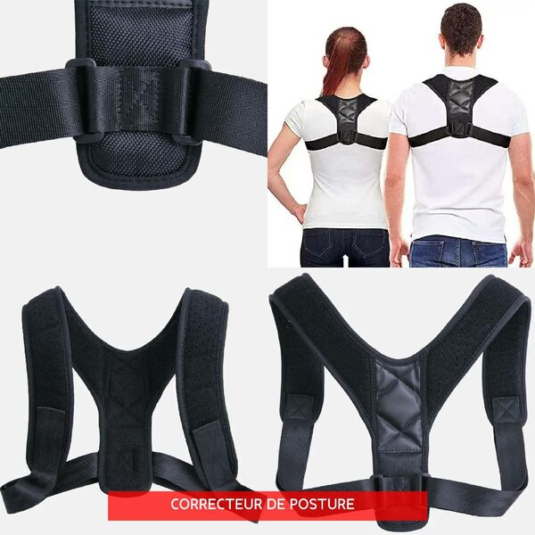 Ceinture dorsale