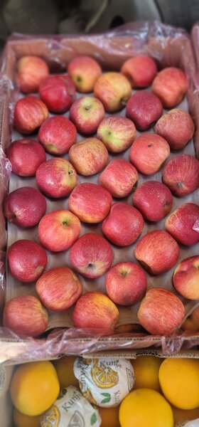 Red Apple