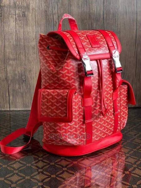 Sac à dos Goyard