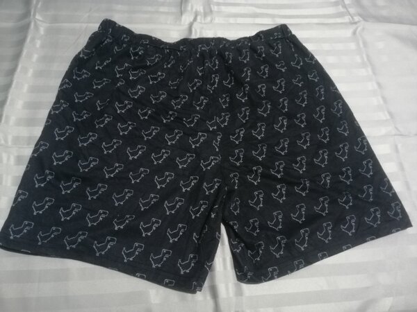 Summer Shorts