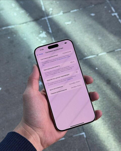  16 Pro Max