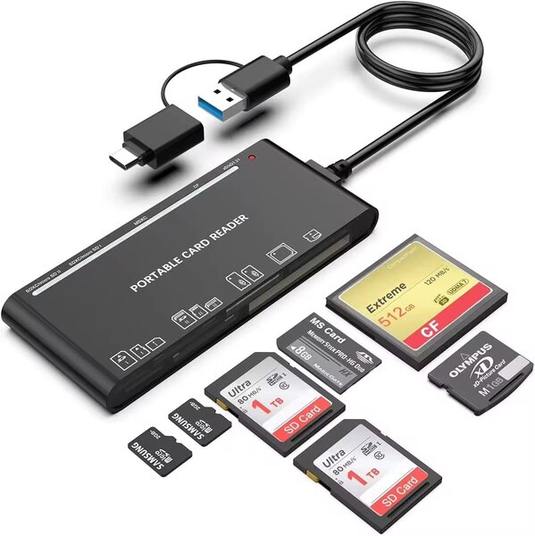 Lecteur de carte Portable