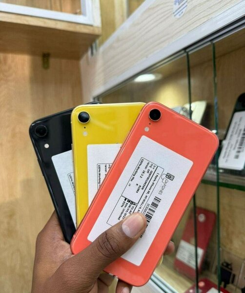 Sangaré telcom.com
