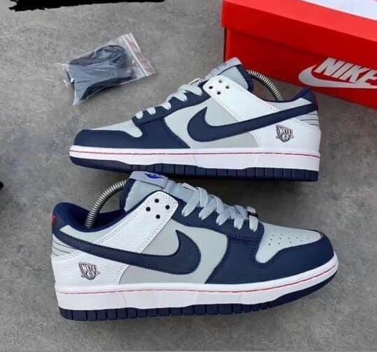 Nike sb dunk