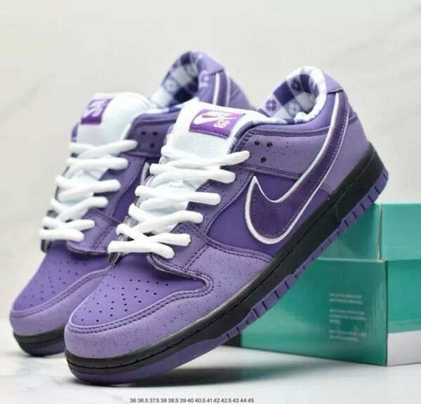 Nike SB
