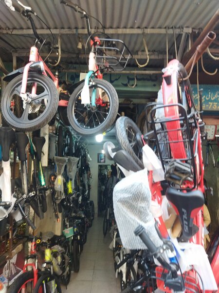 Bashir cycle