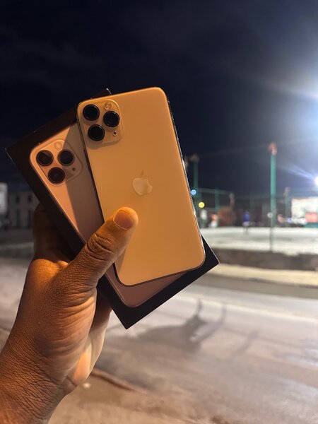 iPhone Pro Max Argent