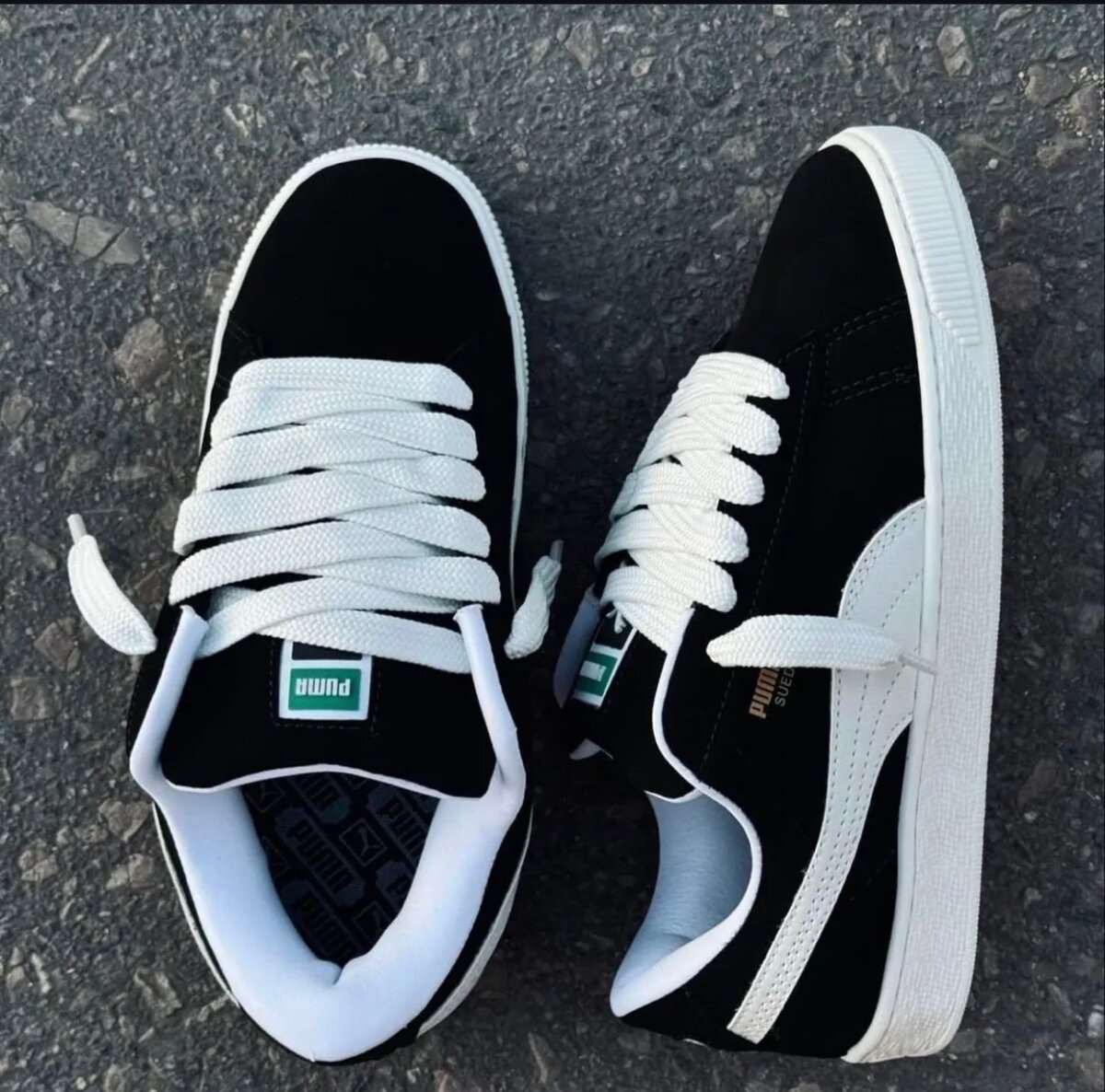 Puma