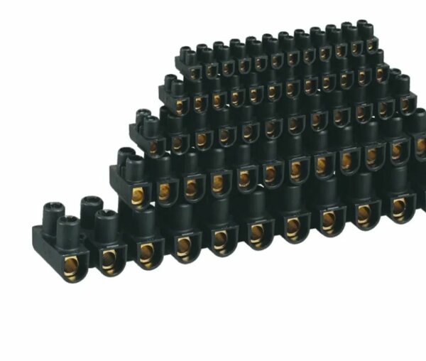 Domino
