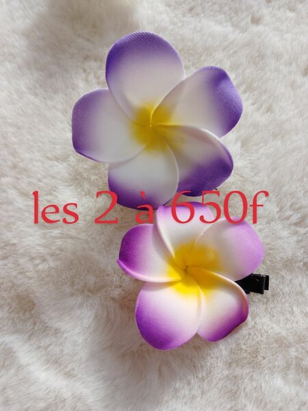 Fleurs en mousse colorées