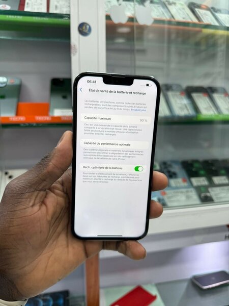 iPhone 13 Pro Max