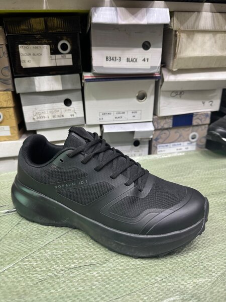 Norman LD3