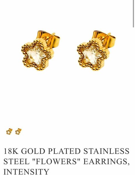 Stainless earrings