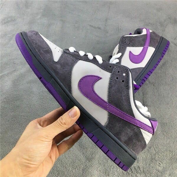 Air Nike SB 