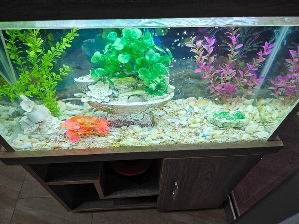 Aquarium