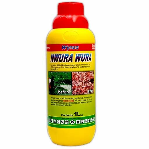 Uwura wura