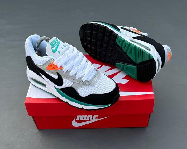 Chaussures Nike Air Max stylées