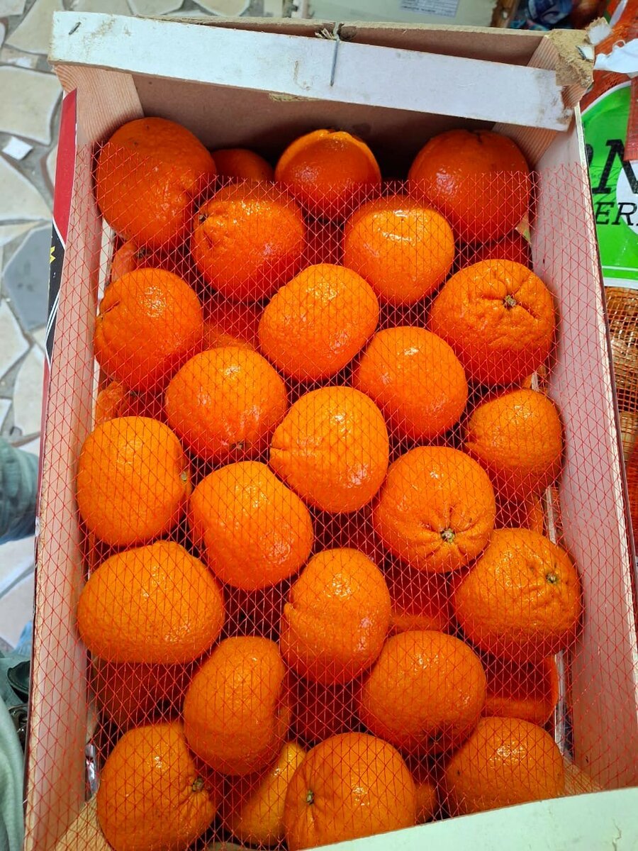 Clémentine 10 kg