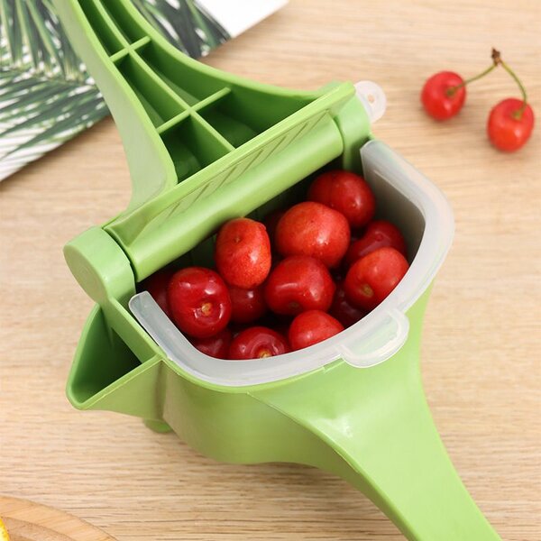 Juice Extractor