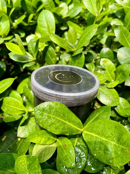 Gommage Corporel Naturel café