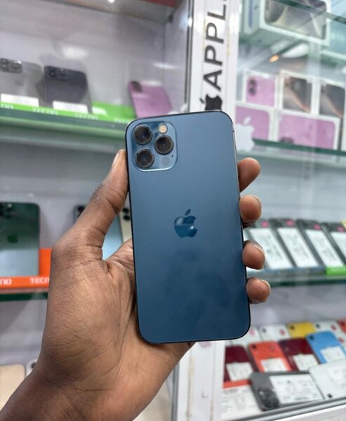 iPhone Pro Max Bleu 256Go