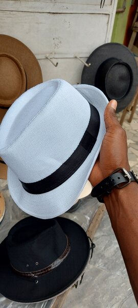 Chapeaux Fedora élégants