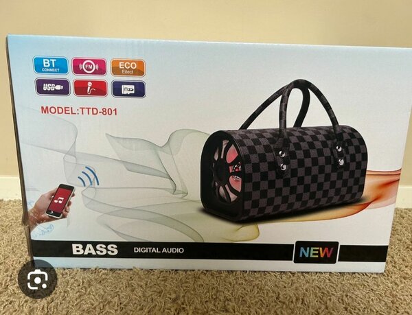 Enceinte Portable Karaoké TTD-501