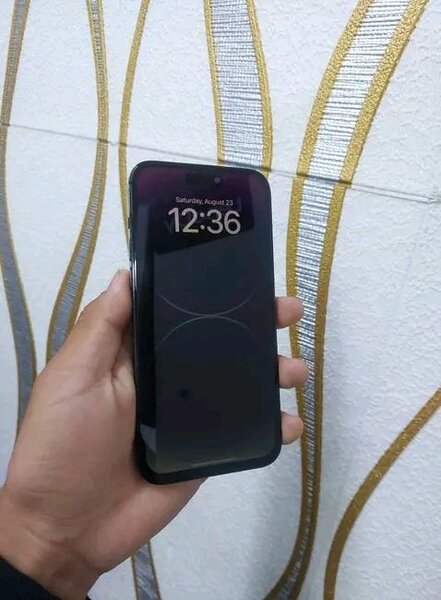 iPhone 14 Pro Max Noir