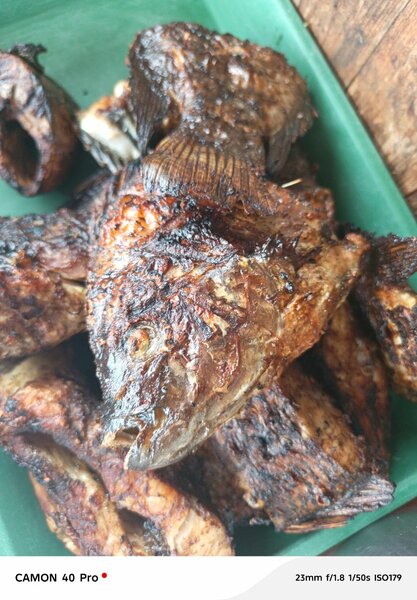 Poisson grillé et poulet