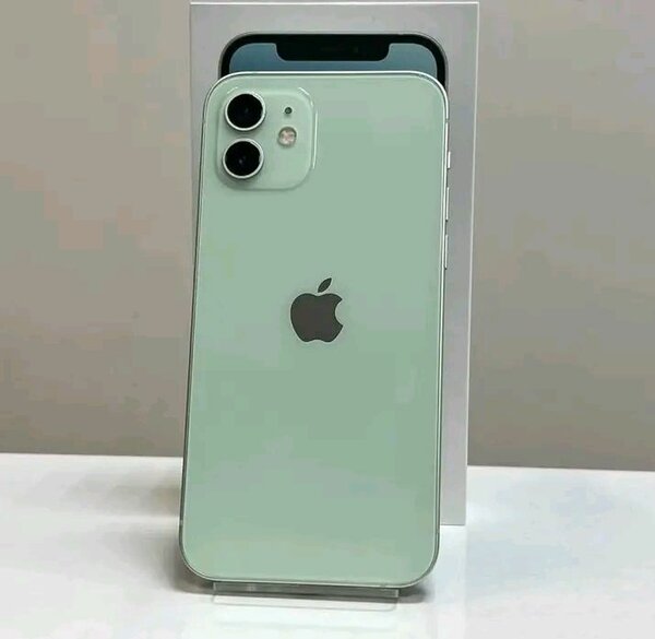 iPhone 12 Vert Neuf