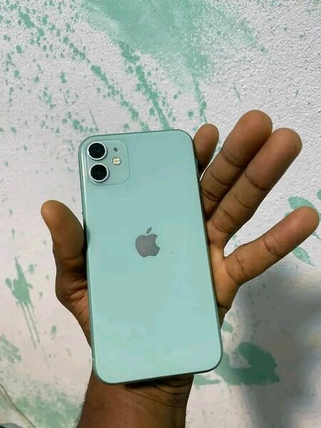 iPhone 11 Vert avec Coque