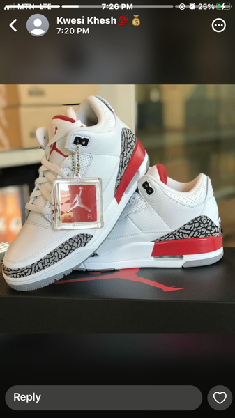 Air Jordan 3