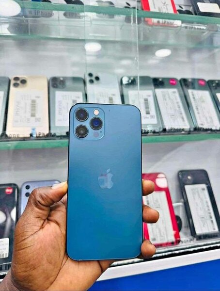 iPhone 12 Pro Max Bleu