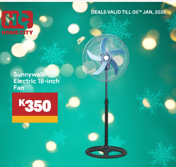 Electric Fan