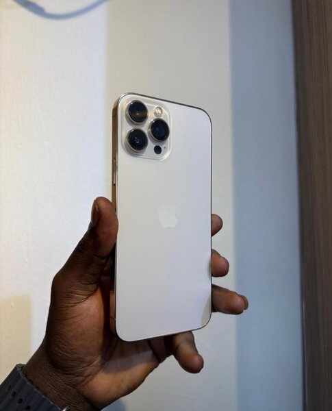 iPhone 13pro max