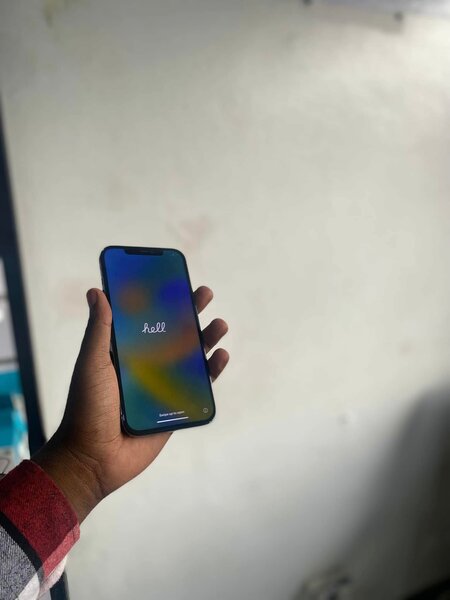 12 pro max 256Gb
