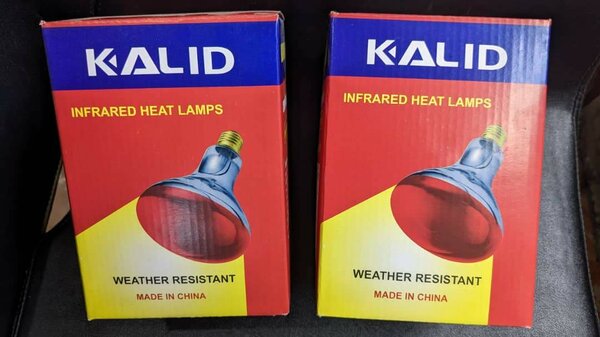 chicken lights
