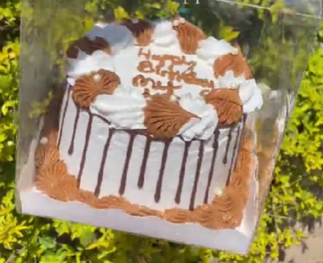 Bento cake