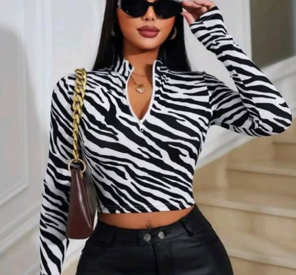 Longsleeves top