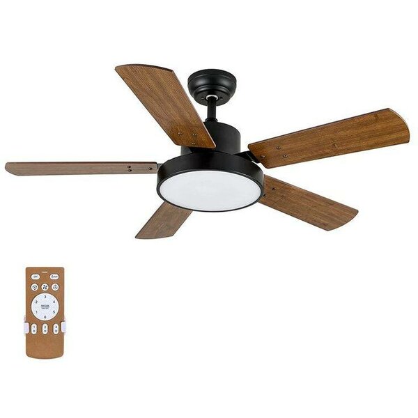 Celling fan