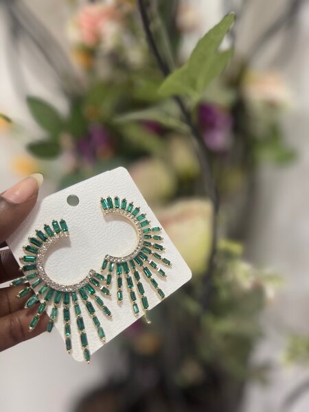 Earrings