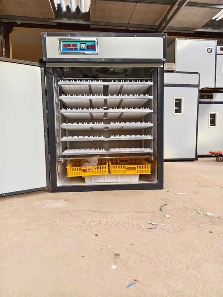 Grand Incubateur Automatique