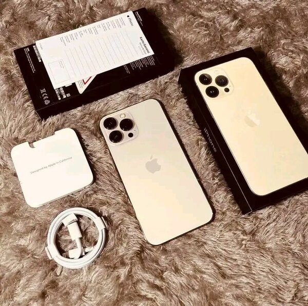 iPhone 13 Pro Max